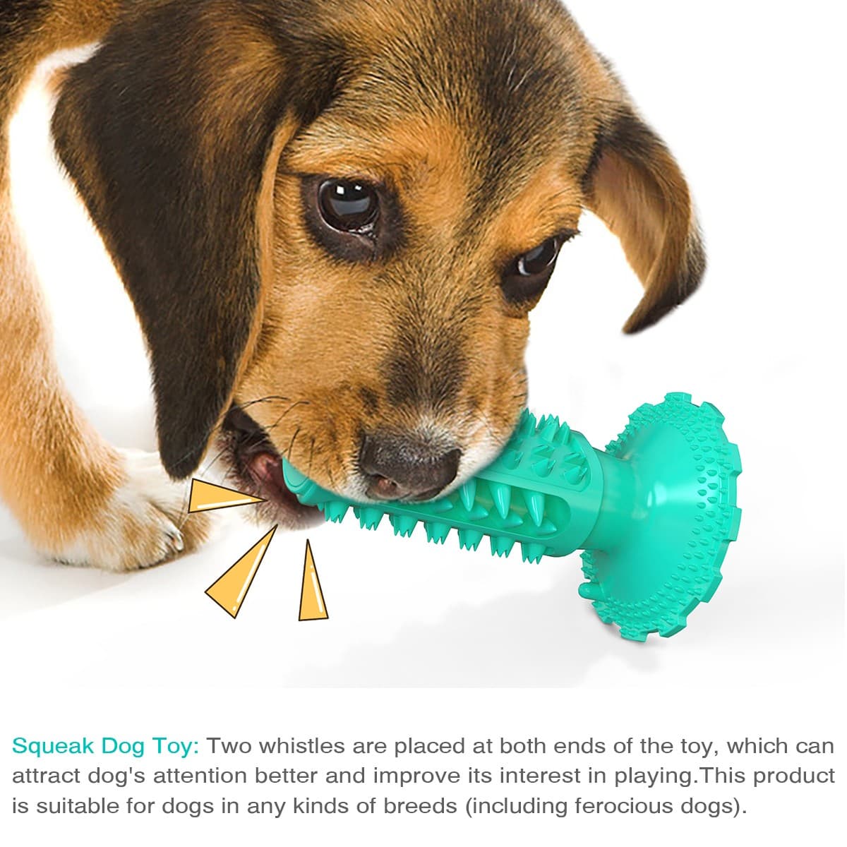 chachaPaw Interactive Toothbrush Chew Toy, Lab-Tested TPR Silicone Dental Cleaning Stick Squeaky,