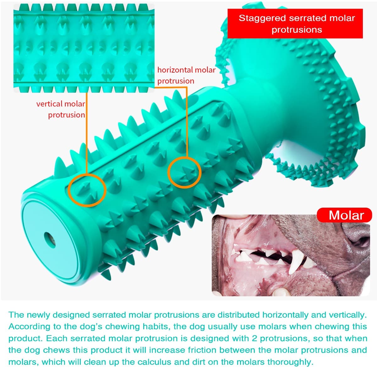 chachaPaw Interactive Toothbrush Chew Toy, Lab-Tested TPR Silicone Dental Cleaning Stick Squeaky,