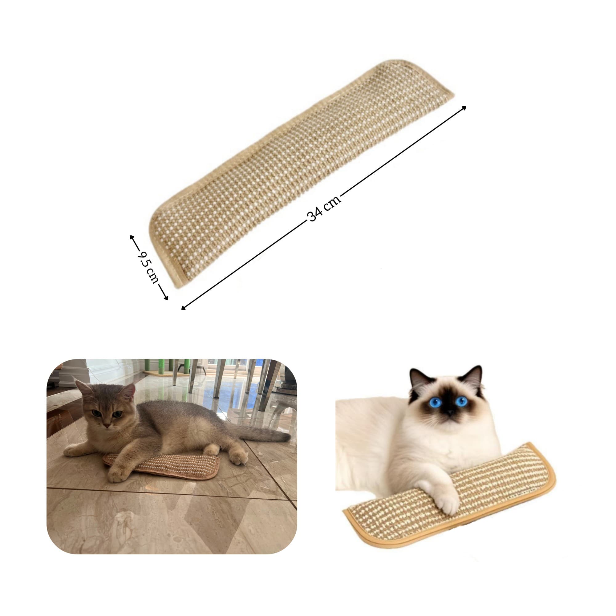 ChaChaPaw Cat Gift Set, 6-Piece Cat/kitty Starter Kit