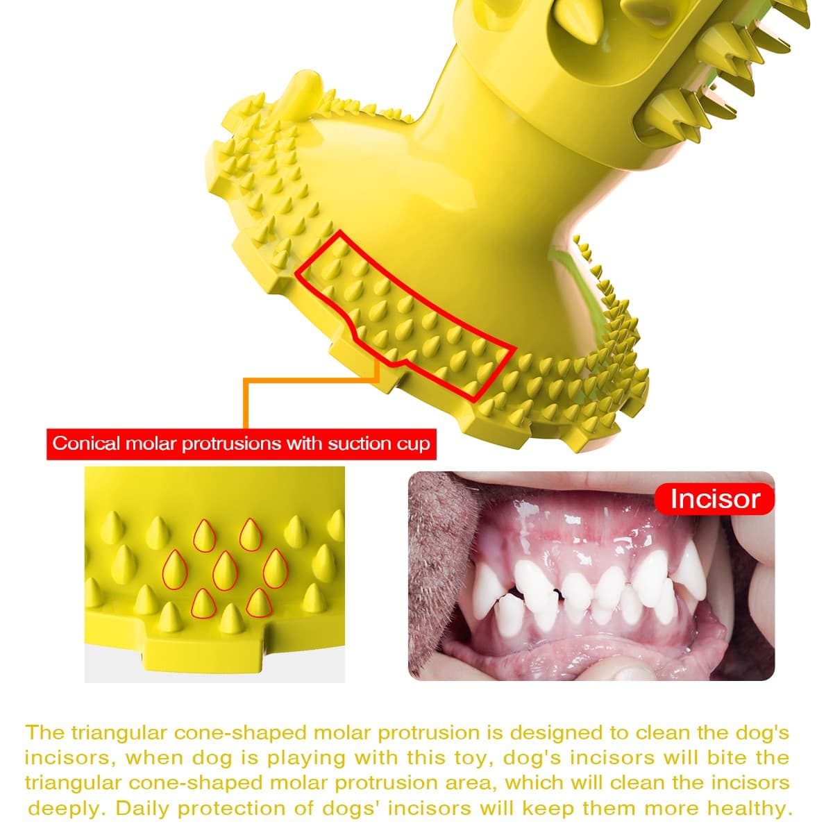 Interactive Toothbrush Chew Toy, Lab-Tested TPR Silicone Dental Cleaning Stick Squeaky,