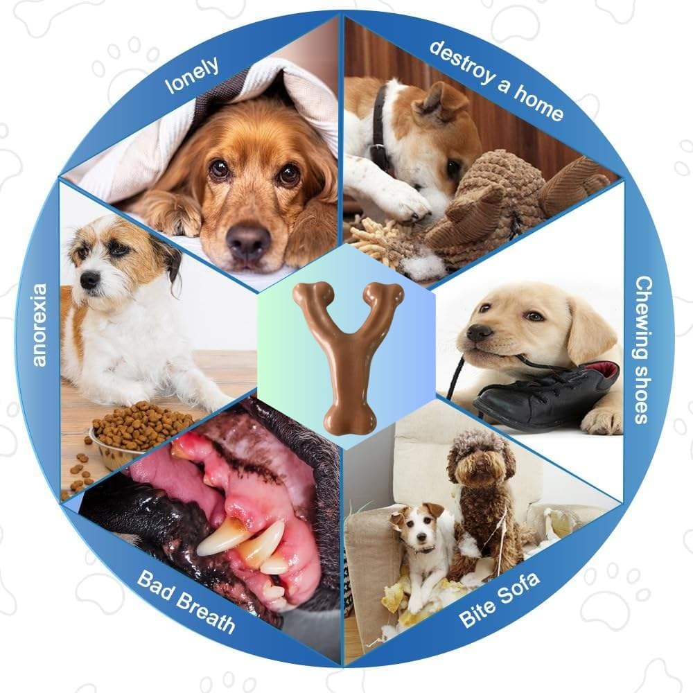 2-Pack Dog Chew Toys for Aggressive Chewers, Durable Wishbone Dog Bones
