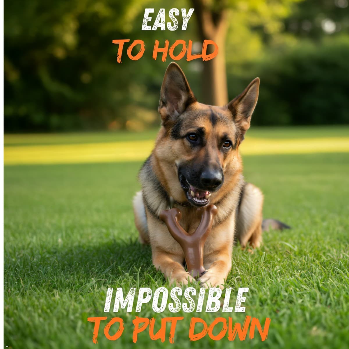 Dog Chew Toy for Aggressive Chewers, Durable Dog Bones, Wishbone Bone, Real Beef Flavor