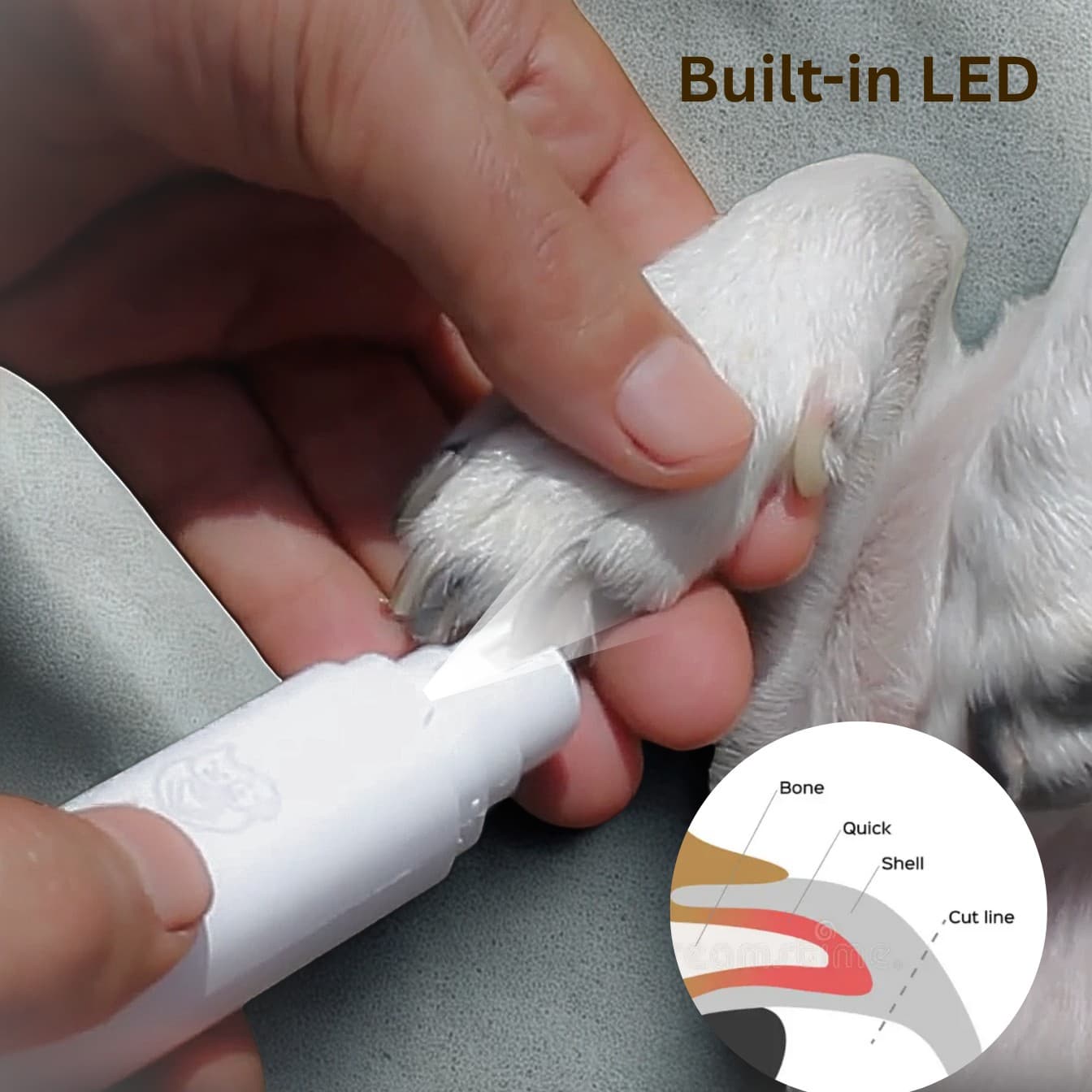 Dog Nail Grinder with LED Light - New Version 2-Speed Powerful Electric Pet Nail Trimmer
