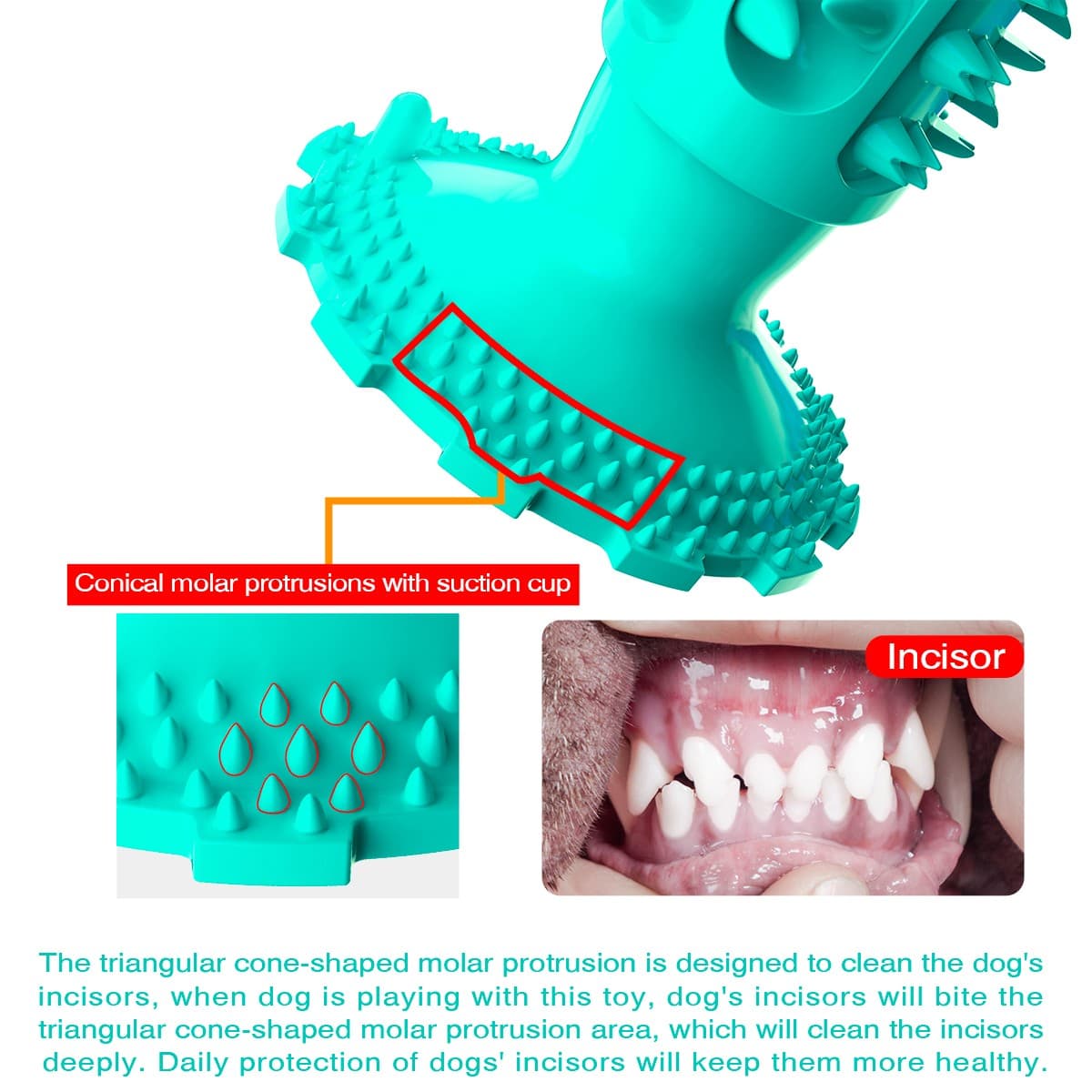 chachaPaw Interactive Toothbrush Chew Toy, Lab-Tested TPR Silicone Dental Cleaning Stick Squeaky,