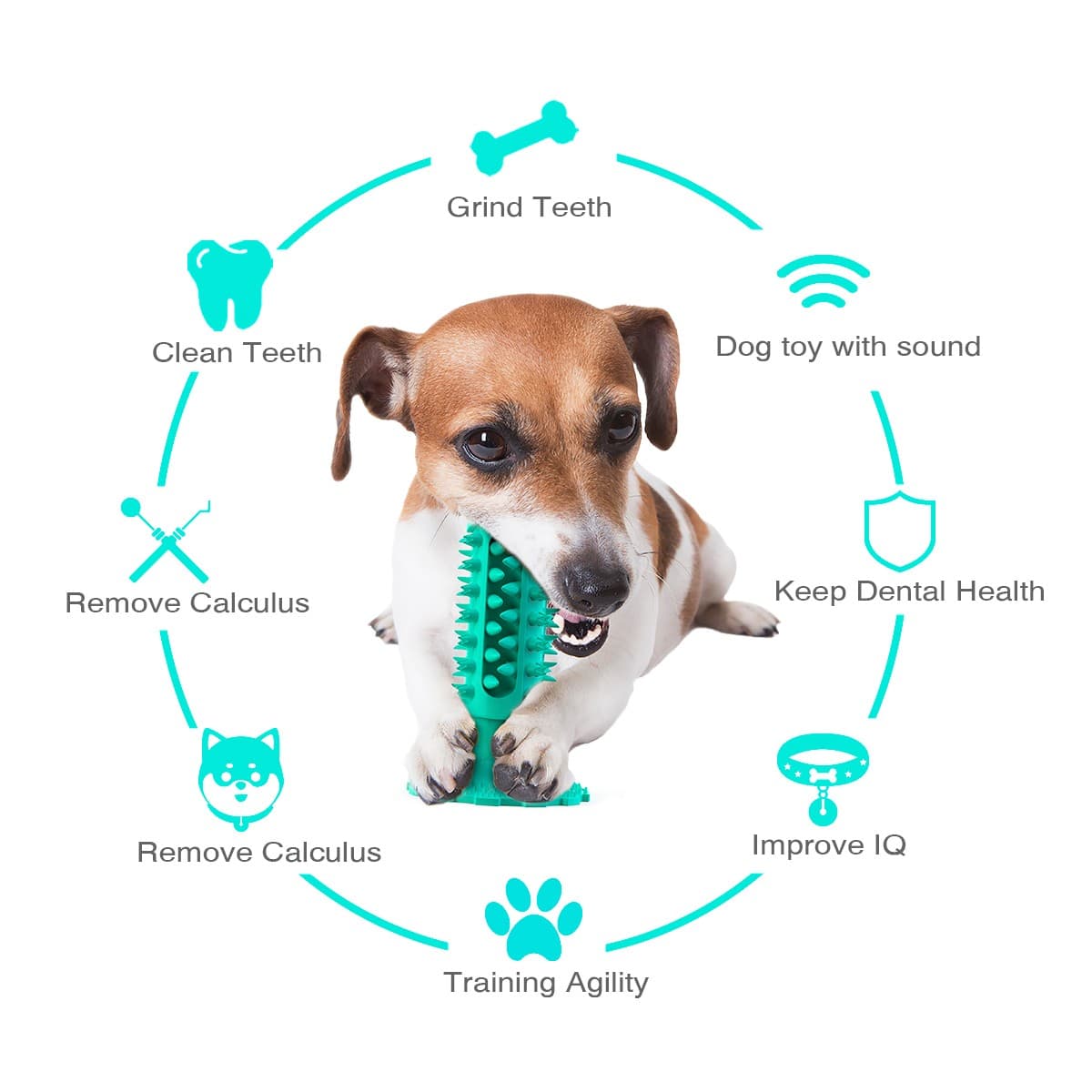 chachaPaw Interactive Toothbrush Chew Toy, Lab-Tested TPR Silicone Dental Cleaning Stick Squeaky,